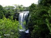 Rainbow Falls, Kerikeri

Trip: New Zealand
Entry: Northland
Date Taken: 26 Feb/03
Country: New Zealand
Viewed: 1178 times
Rated: 7.7/10 by 3 people